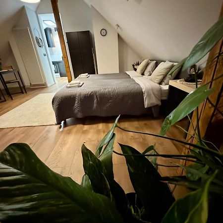 Apartamenty Astor - Ksiezycowy شتشافنو-زدروي المظهر الخارجي الصورة