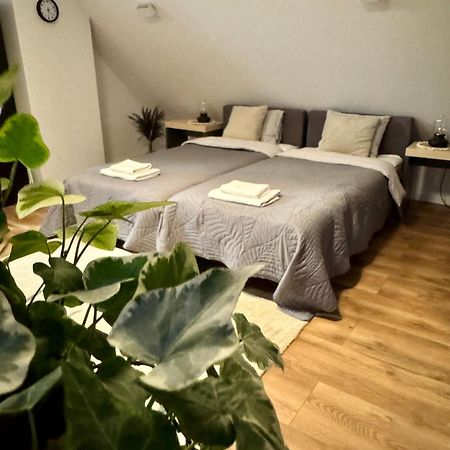 Apartamenty Astor - Ksiezycowy شتشافنو-زدروي المظهر الخارجي الصورة